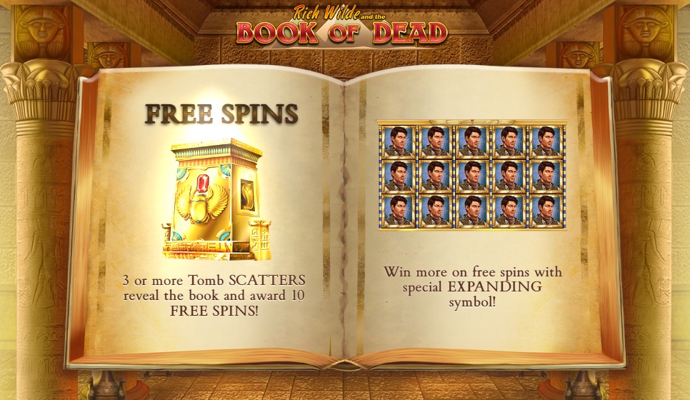 Book of Dead Slot